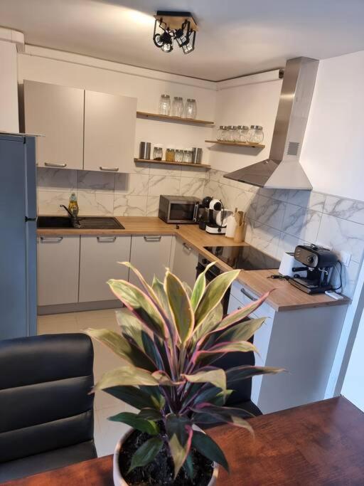 Appartement Vue Mer Avec Parking Gratuit Sur Place Bastia  Bagian luar foto